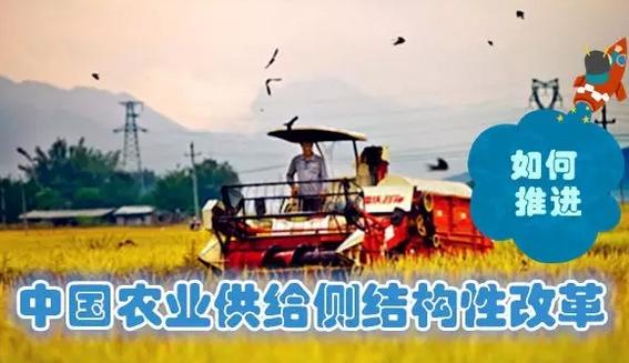 丁磊养猪一年出栏多少头,生猪养殖业前景分析