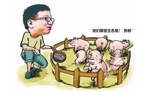 丁磊养猪一年出栏多少头,生猪养殖业前景分析