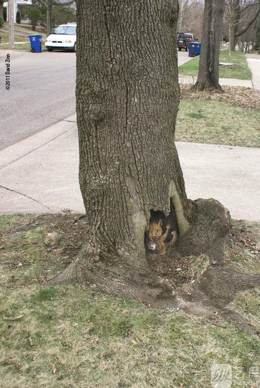 嘘……这里有比《蓝色大海的传说》颜值更高的