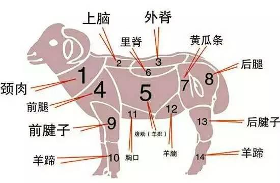 一个普通农庄的面积是多少,一间农庄要投资多少钱
