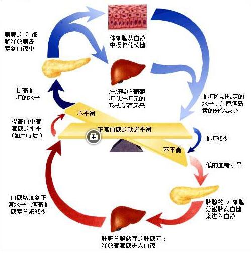 喝完酒发抖出虚汗是为什么,喝了酒出冷汗晕厥是怎么回事