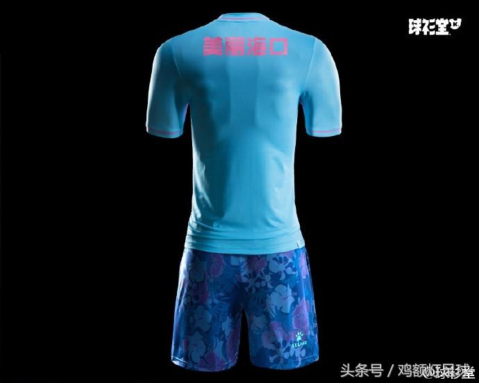 卡尔美中甲联赛,卡尔美亚洲杯球衣