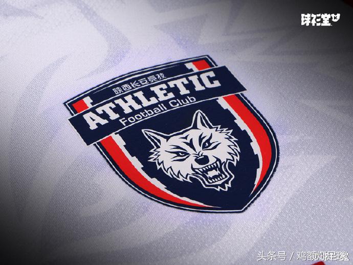 卡尔美中甲联赛,卡尔美亚洲杯球衣