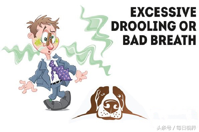 15种狗狗常见病治疗,狗狗生病了有哪些症状