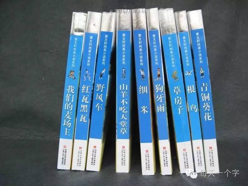 轩，气宇轩昂「汉字之美」“名字里的故事”
