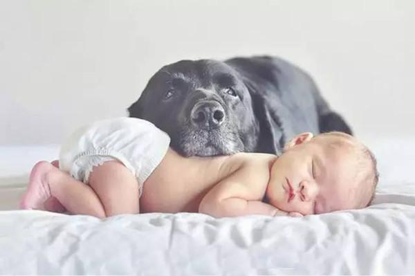 你还在做炫娃狂魔？人家4岁的孩子都在炫父母啦！