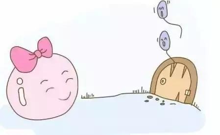 供卵试管婴儿形成过程,揭秘试管婴儿全过程