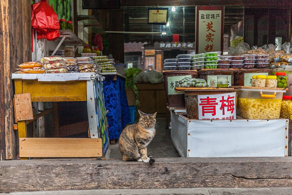 距离杭州仅30公里车程,距离杭州一小时车程的景点
