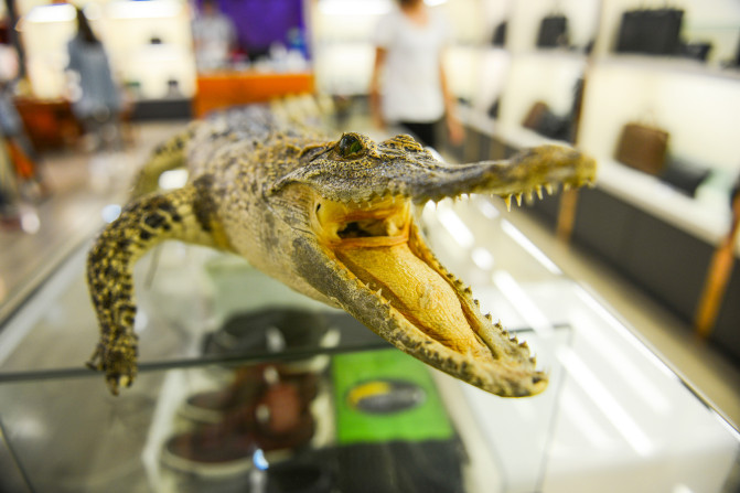 距离杭州仅30公里车程,距离杭州一小时车程的景点