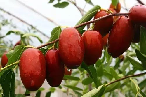 这座位于西安西北150公里的县，只靠一碗御面就能让人流连忘返