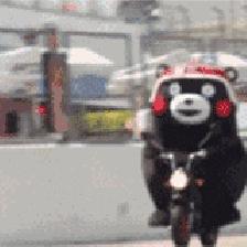 12新规来了,12月新规最全解读