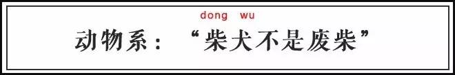 你的网名流行吗？看看这些惊艳和惊吓的神网名