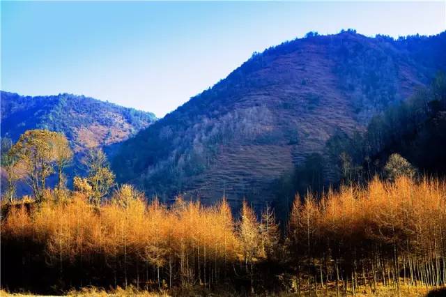 成都川西小环线4天自驾免费景点,成都自驾川西景点推荐