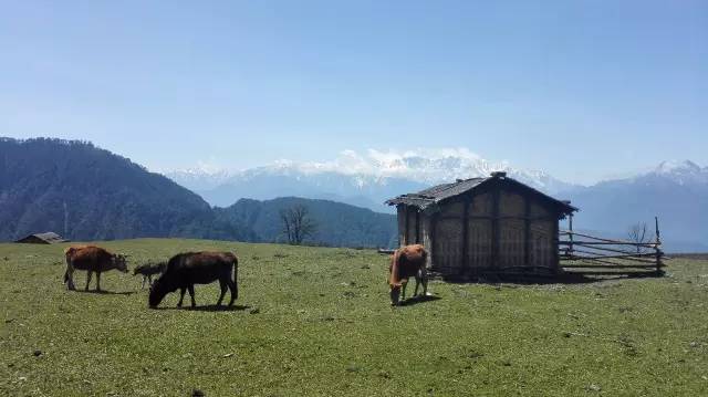 成都川西小环线4天自驾免费景点,成都自驾川西景点推荐