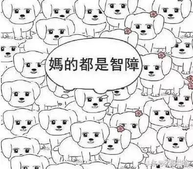 sunshine最惨组合,sunshine组合现在怎样了