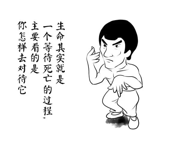 怀念一代功夫巨星李小龙,李小龙不朽的龙魂电影简介