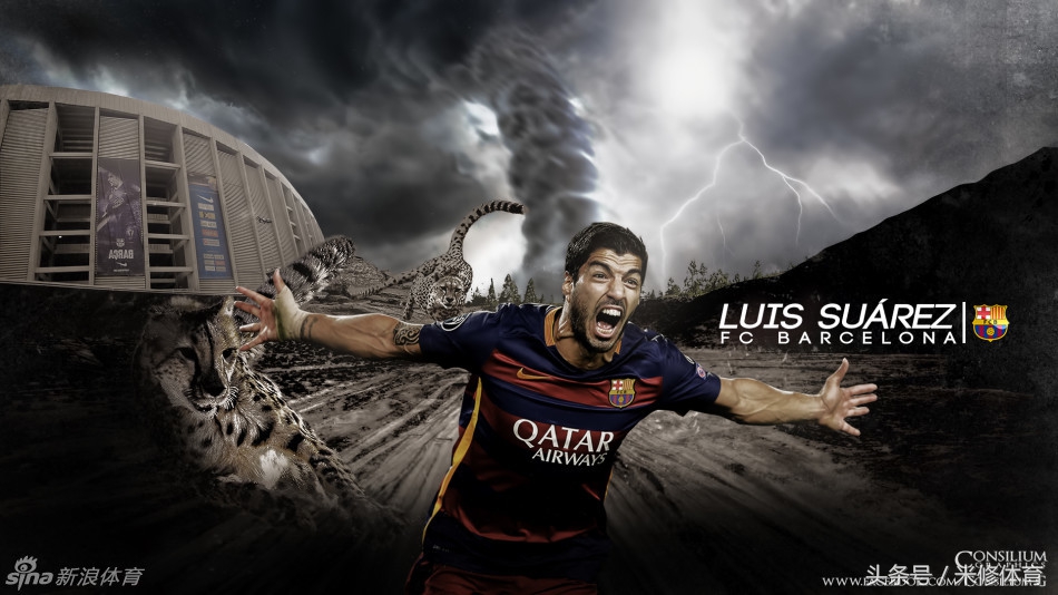 当今足坛最强十大中锋,十大中锋伊布拉希莫维奇