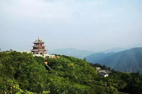 宁波大自然美轮美奂的风景,宁波最美森林