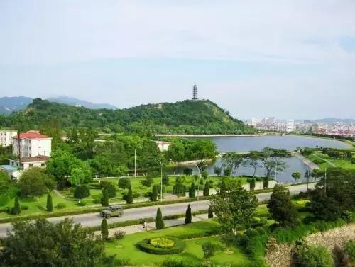 宁波大自然美轮美奂的风景,宁波最美森林