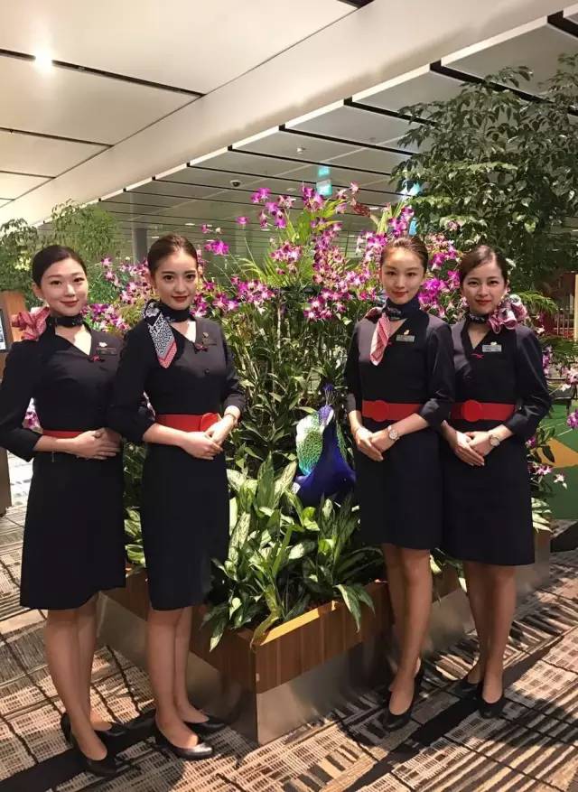 “美女”与“夜寿”：中国东航60岁生日晚宴趴新加坡分场