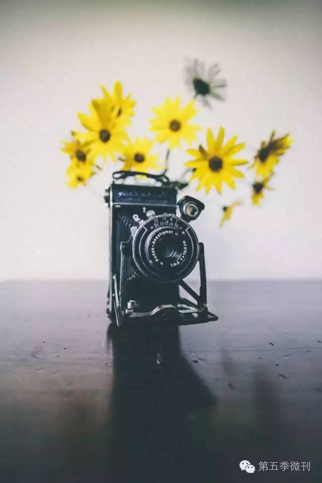 爱上一个人几年了连面都没见过,爱上一个人却都是缘分