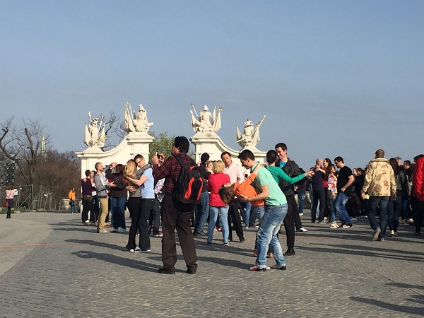 豆瓣日记momo,豆瓣日记茉莉