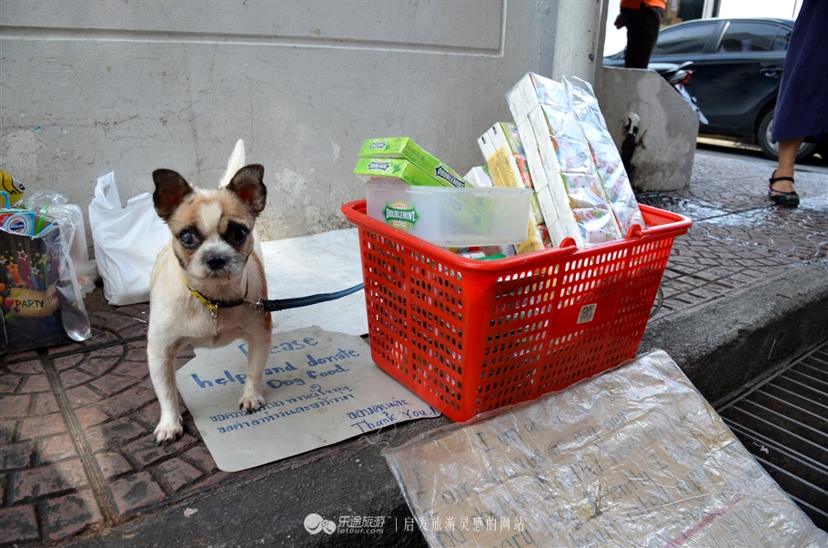 从泰北到泰南，如何优雅地买买买？