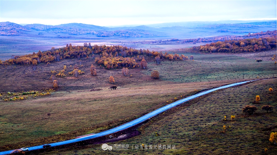 秋季到塞罕坝怎么样,秋天的童话坝上金秋