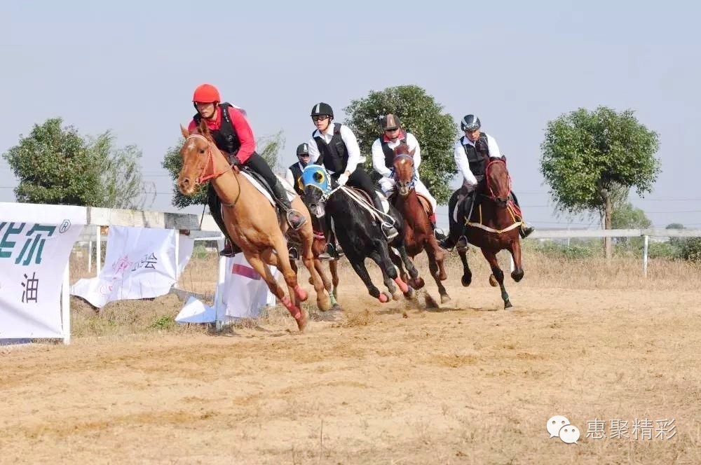 震撼，26个英文字母里竟然隐藏着惠山文体元素！