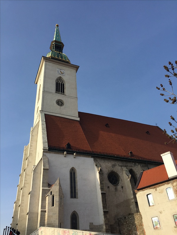 豆瓣日记momo,豆瓣日记茉莉