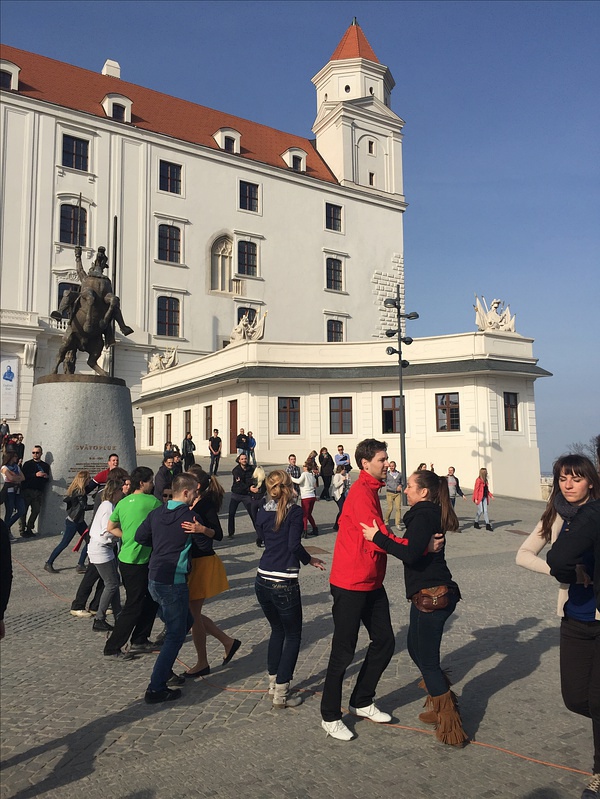 豆瓣日记momo,豆瓣日记茉莉