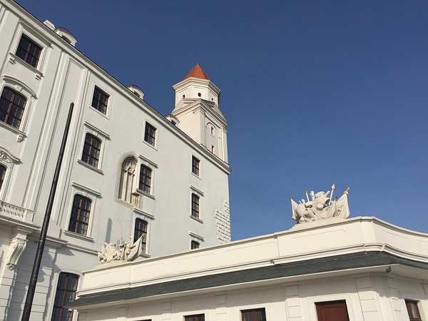 豆瓣日记momo,豆瓣日记茉莉