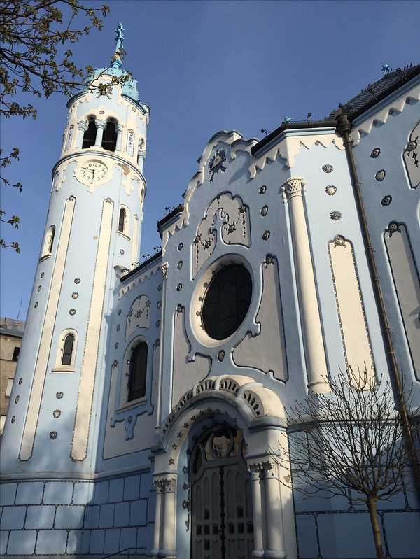 豆瓣日记momo,豆瓣日记茉莉