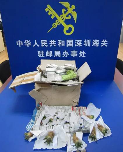 海关为什么不让代购,中国海关代购有风险吗