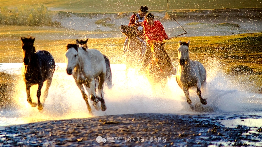 秋季到塞罕坝怎么样,秋天的童话坝上金秋