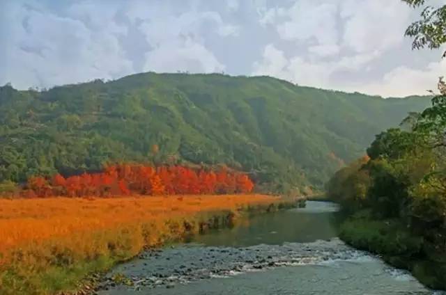 福鼎风景好的村庄,福鼎乡村旅游景点推荐