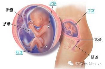 「孕期检查」羊水背后隐藏的秘密，孕妈妈们看后都惊到了！