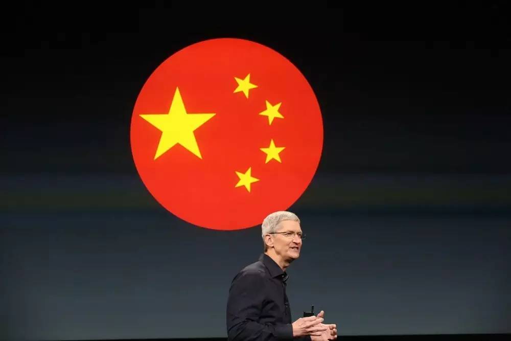 为啥椰子鞋卖这么贵,为什么椰子鞋什么价位都有
