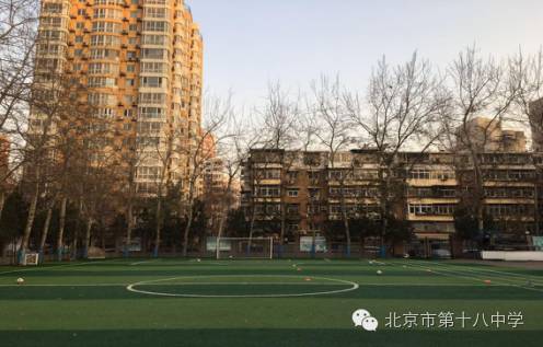 趣味性足球课堂,趣味小班足球课