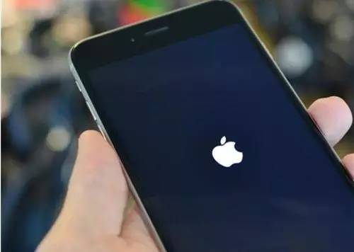 戴手套能滑手机屏幕吗,冬天为啥戴手套