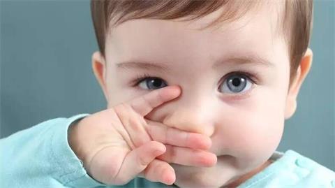 气温忽高忽低对玉树伤害大吗,鼻窦炎天气冷就更严重