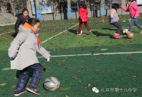 趣味性足球课堂,趣味小班足球课