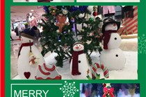 鏂颁笘鐣岀櫨璐у湥璇炵唺,鏂颁笘鐣岀櫨璐у垢绂忓崱