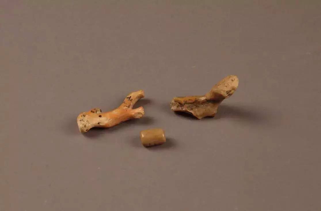 何家村唐代窖藏的考古发现,西安南郊何家村发现唐代窖藏文物