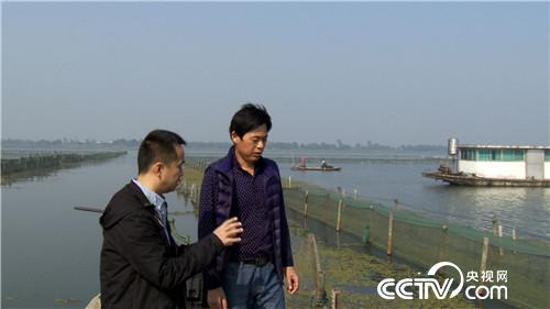 阳澄湖大闸蟹将军养殖基地,阳澄湖唯一的养蟹状元