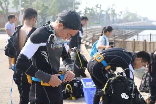 体育微型课游泳,二年级体育公开课攀岩