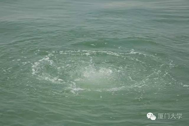 体育微型课游泳,二年级体育公开课攀岩