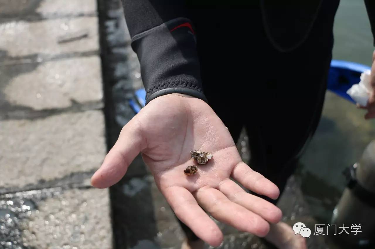 体育微型课游泳,二年级体育公开课攀岩