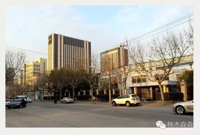 生在安徽人在浙江,生在皖嫁在沪