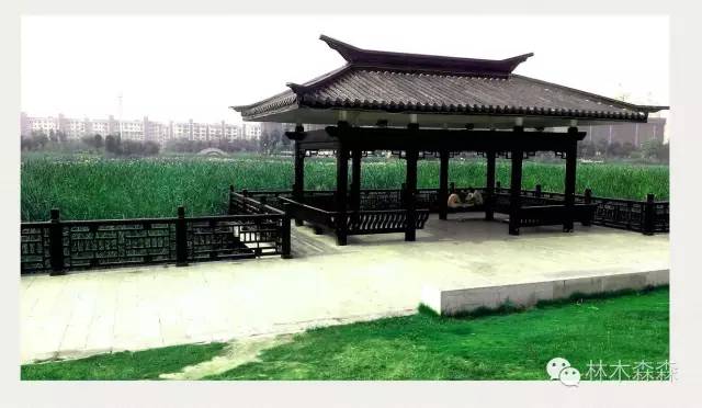 生在安徽人在浙江,生在皖嫁在沪